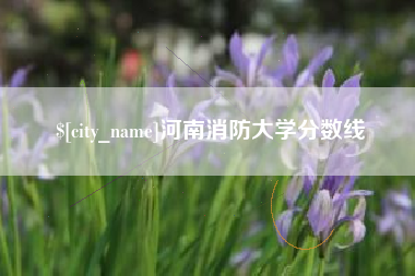 渭南河南消防大学分数线