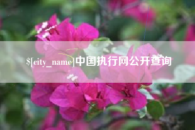 渭南中国执行网公开查询