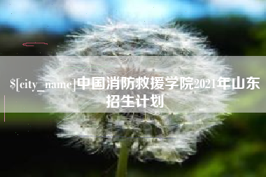 渭南中国消防救援学院2021年山东招生计划