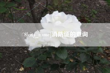 渭南消防证的查询