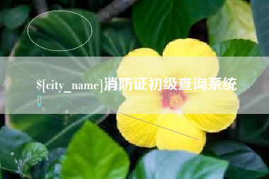 渭南消防证初级查询系统