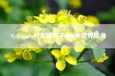 渭南全国男子5000米世界纪录