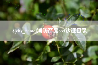 渭南消防产品cccf认证目录
