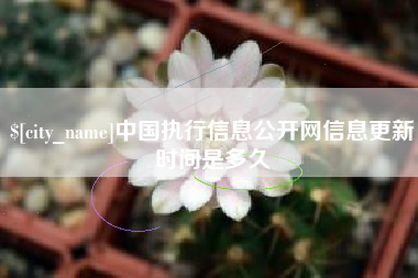 渭南中国执行信息公开网信息更新时间是多久