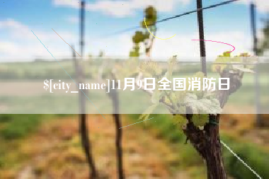 渭南11月9日全国消防日