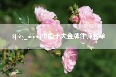 渭南中国十大金牌律师名单