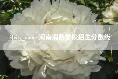 渭南河南消防学校招生分数线