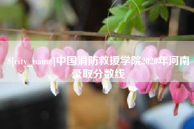 渭南中国消防救援学院2020年河南录取分数线