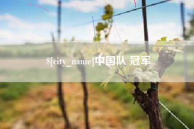 渭南中国队 冠军