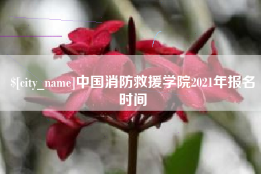 渭南中国消防救援学院2021年报名时间