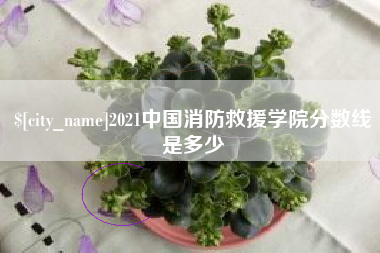 渭南2021中国消防救援学院分数线是多少