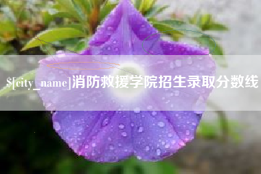 渭南消防救援学院招生录取分数线