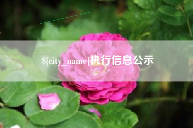 渭南执行信息公示