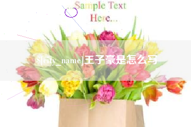 渭南王子豪是怎么写