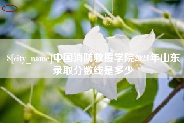 渭南中国消防救援学院2021年山东录取分数线是多少
