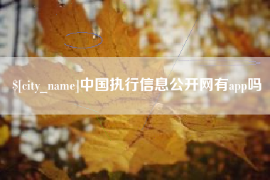 渭南中国执行信息公开网有app吗