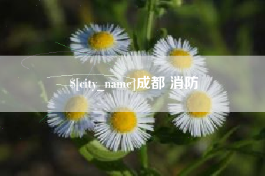 渭南成都 消防
