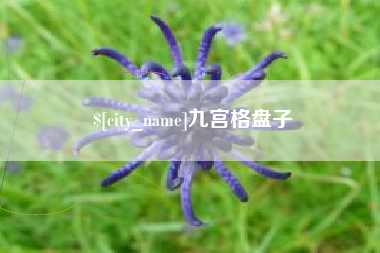 渭南九宫格盘子