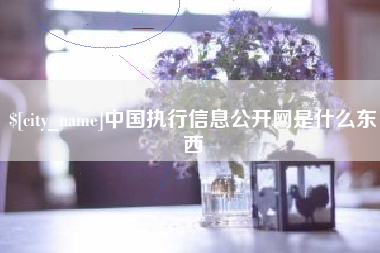 渭南中国执行信息公开网是什么东西