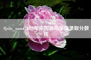 渭南2021年中国消防学院录取分数线
