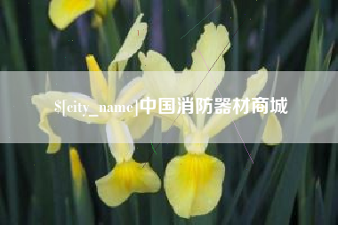 渭南中国消防器材商城