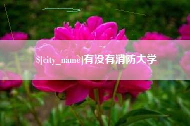 渭南有没有消防大学