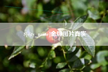 渭南金牌图片真实