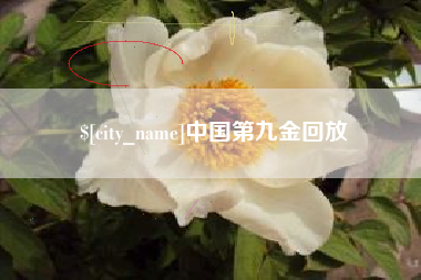 渭南中国第九金回放