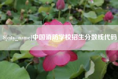 渭南中国消防学校招生分数线代码
