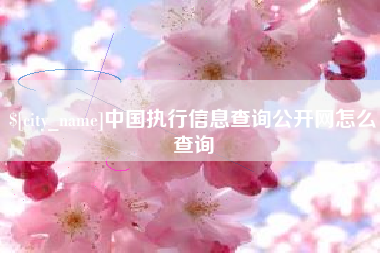 渭南中国执行信息查询公开网怎么查询