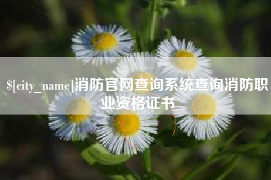 渭南消防官网查询系统查询消防职业资格证书