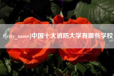 渭南中国十大消防大学有哪些学校
