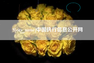 渭南中国执行信息公开网