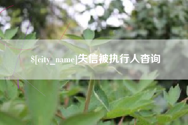 渭南失信被执行人杳询