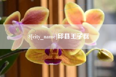 渭南邱县王子磊