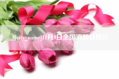 渭南11月9日全国消防日图片
