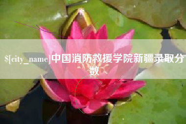 渭南中国消防救援学院新疆录取分数