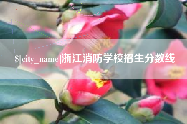 渭南浙江消防学校招生分数线