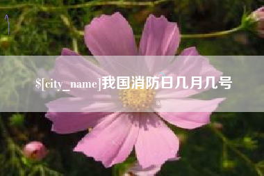 渭南我国消防日几月几号