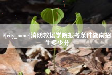 渭南消防救援学院报考条件湖南招生多少分