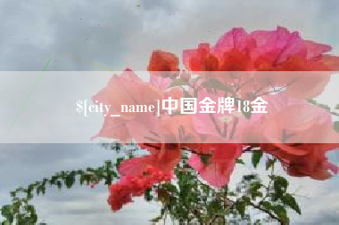 渭南中国金牌18金