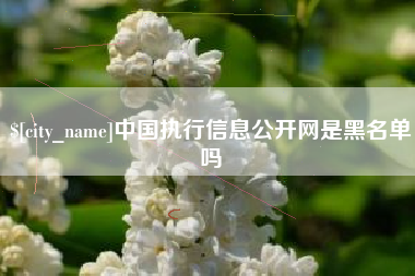 渭南中国执行信息公开网是黑名单吗