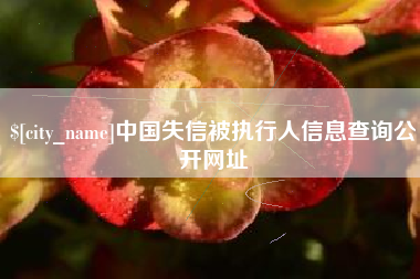 渭南中国失信被执行人信息查询公开网址