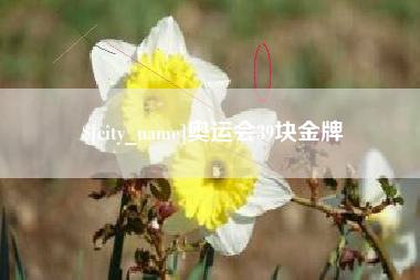 渭南奥运会39块金牌