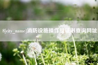 渭南消防设施操作员证书查询网址