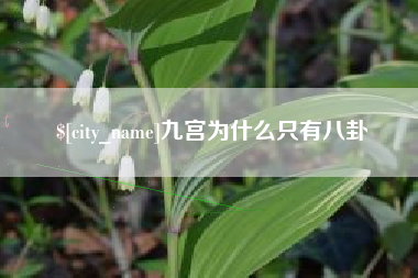 渭南九宫为什么只有八卦