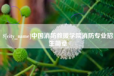 渭南中国消防救援学院消防专业招生简章
