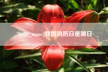 渭南我国消防日是哪日