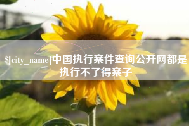 渭南中国执行案件查询公开网都是执行不了得案子
