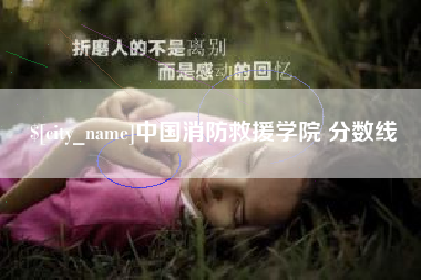 渭南中国消防救援学院 分数线